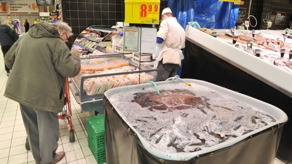 Żywe karpie w supermarkecie to coraz rzadszy widok.