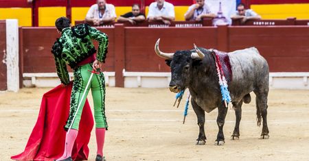 Korridy na Balearach bez przelewu krwi
