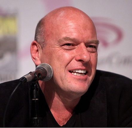 Dean Norris to amerykański aktor, znany z ról w filmach i serialach sensacyjnych