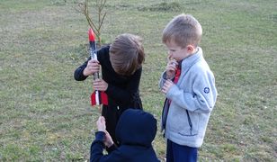 Nie musisz być Elonem Muskiem, żeby posłać w niebo własną rakietę. To tańsze niż myślisz