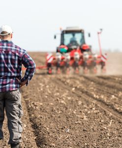 Żywność ze znakiem bez GMO. Ministerstwo opracowało logo