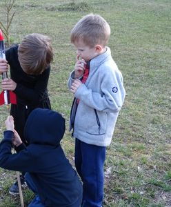 Nie musisz być Elonem Muskiem, żeby posłać w niebo własną rakietę. To tańsze niż myślisz