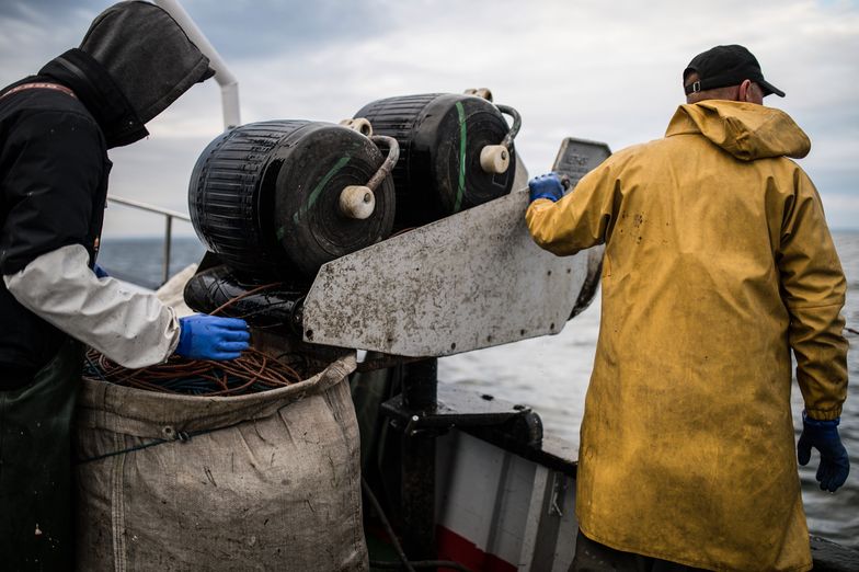 Unia Europejska szuka sposobu na to, jak zrekompensować rybakom zakaz połowów dorsza.