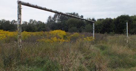 Widok jak z horroru w samym centrum miasta. Stadion, który straszy od lat