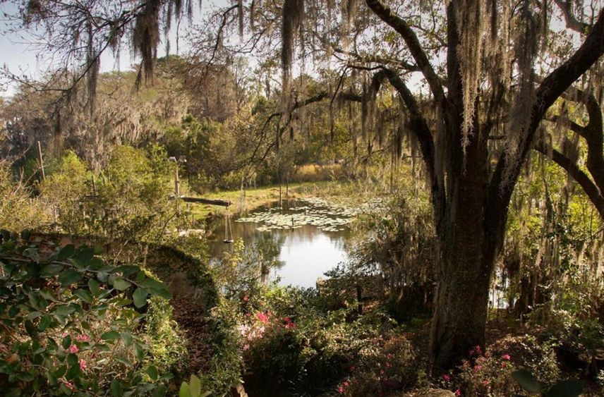 Opuszczony park Disneya. Najsmutniejsze miejsce na świecie