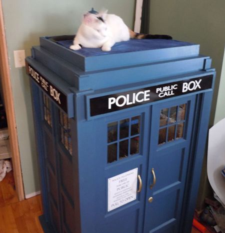 TARDIS Cat Fort
