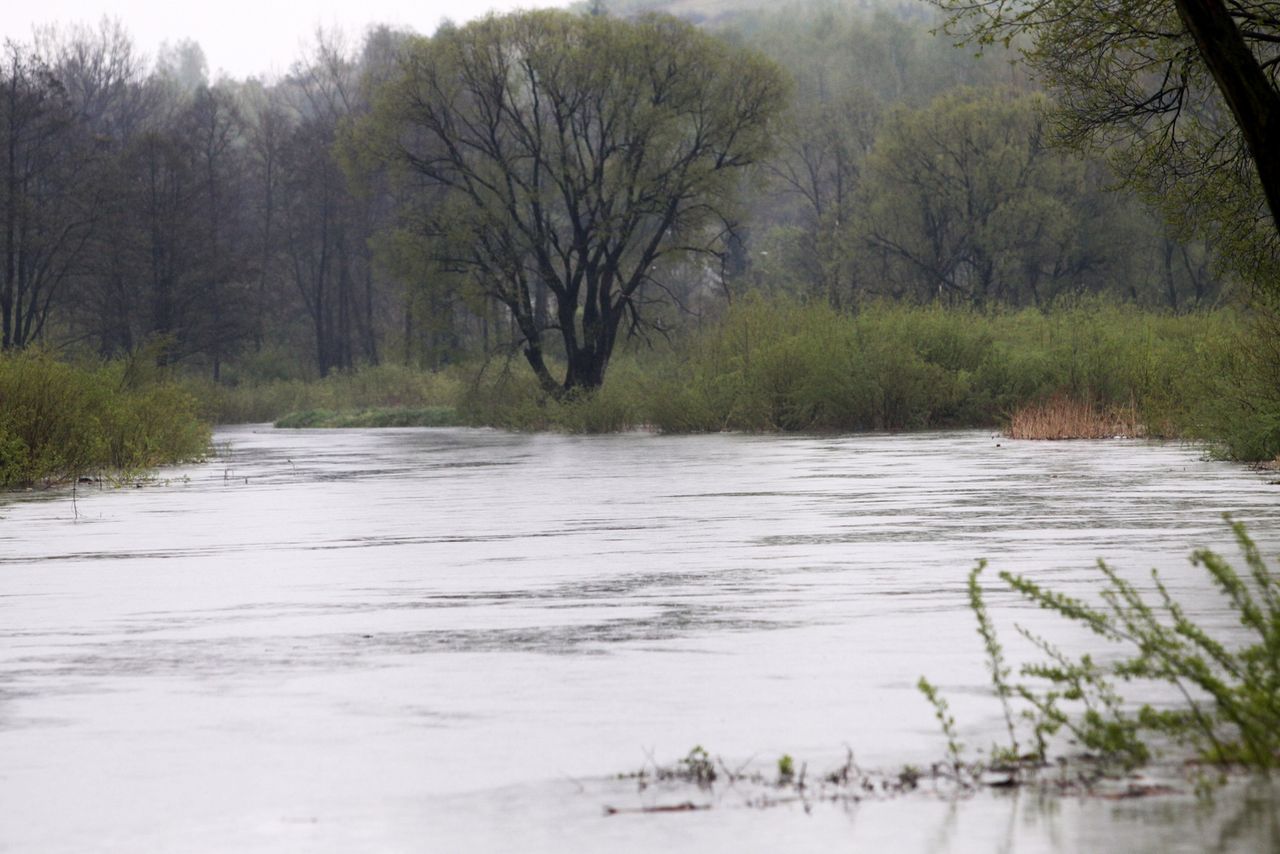 Przybywa wody w rzekach Podbeskidzia; alarmy na Wiśle i Iłownicy