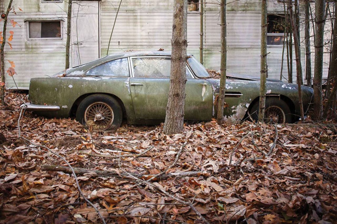 Gnił na farmie. Teraz jest wart krocie