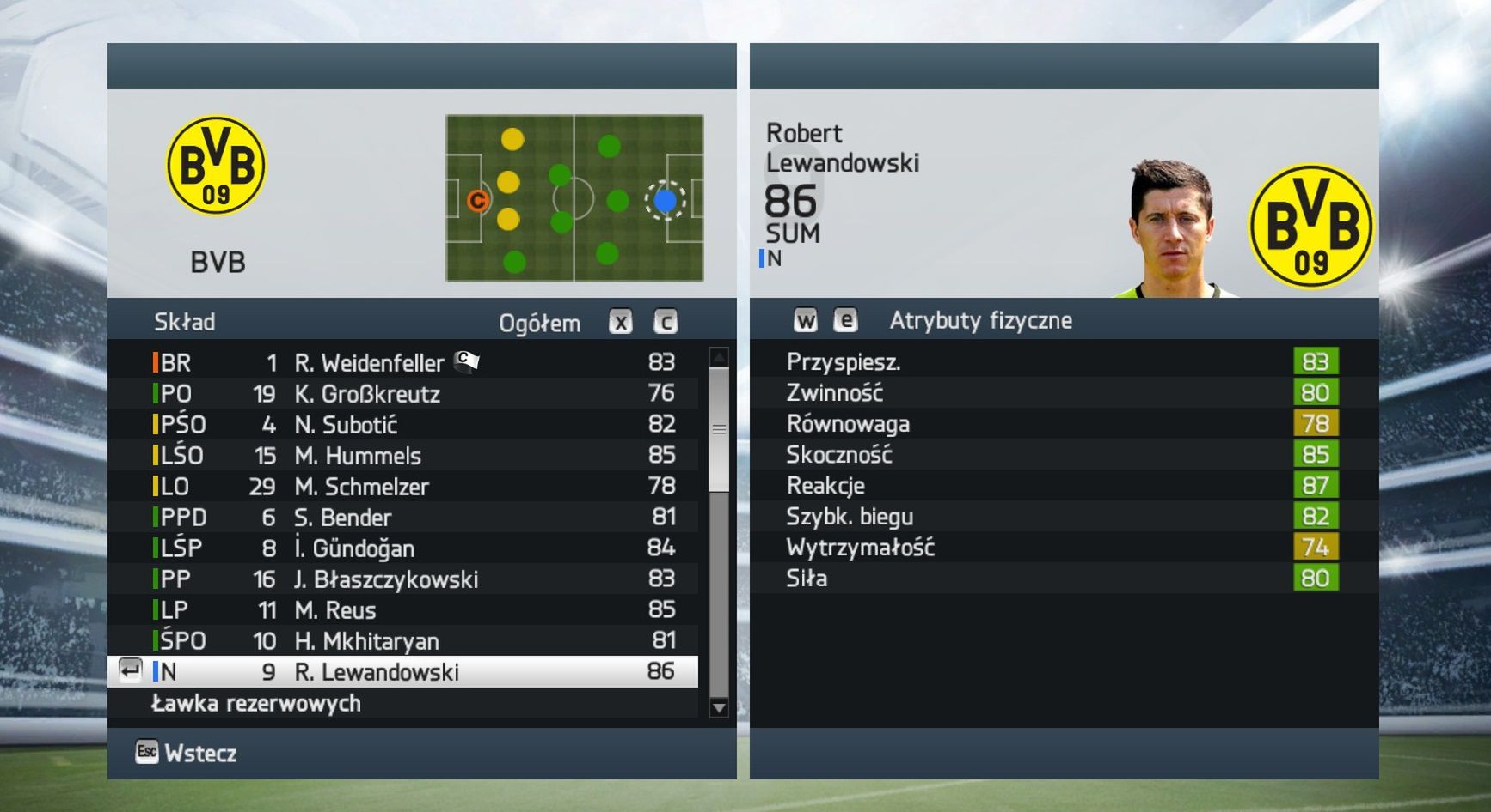 Obraz