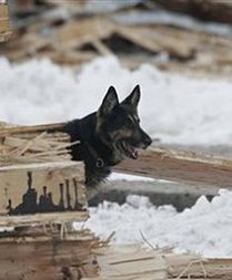 Coraz więcej ofiar katastrofy na lodowisku