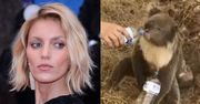 Anja Rubik porównuje Polskę z płonącą Australią: "To nie żart! To NIE JEST NORMALNE"