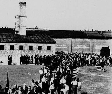 Kobieca przyjaźń trwalsza od obozowych murów. Nieznana historia