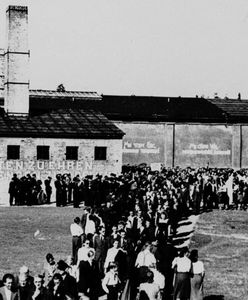 Kobieca przyjaźń trwalsza od obozowych murów. Nieznana historia