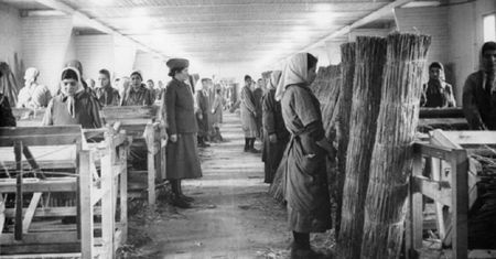 KL Ravensbrück. Nazistowskie piekło dla kobiet