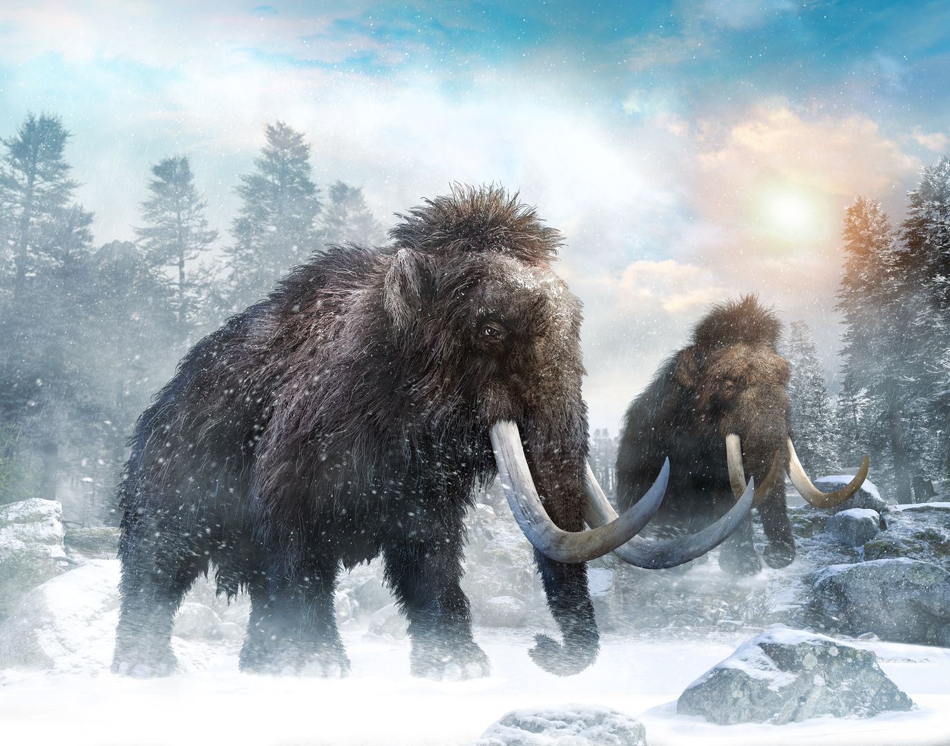 Warszawa - mamut zatrzymał prace budowlane na terenie Woli.