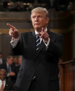 Donald Trump: "Mur na granicy z Meksykiem będzie piękny, z artystycznych elementów"