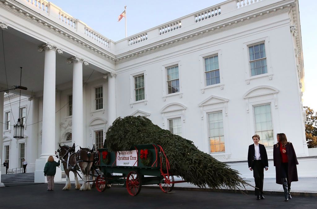 <<enter caption here>> on November 20, 2017 in Washington, DC. 