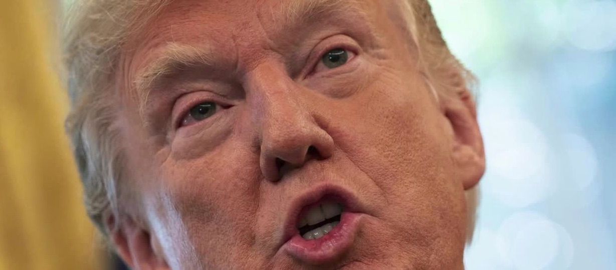 Emocjonalne świadectwo Hope Hicks podczas procesu Donalda Trumpa