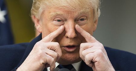 Peter Singer: Zieloni za Trumpem?