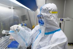 Koronawirus w Polsce. Resort zdrowia o zapasach testów. Robimy 100, a można tysiące