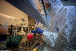 Koronawirus w Polsce. Testy na obecność SARS-CoV-2 wyłącznie za zgodą sanepidu