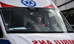 Koronawirus w Polsce. Rodzina zakażonego mieszkańca Sulmierzyc szykanowana. Burmistrz apeluje