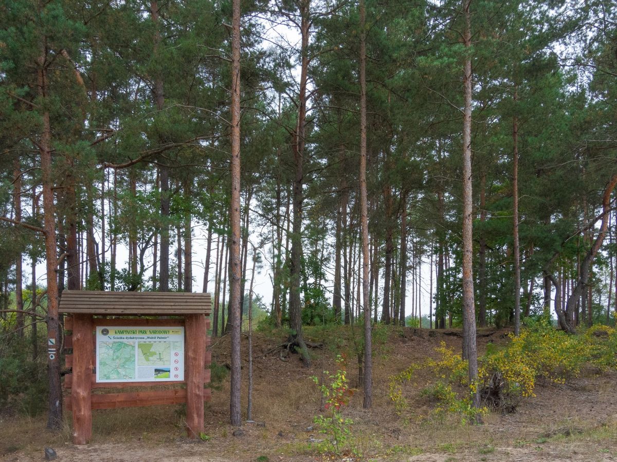 Koronawirus w Warszawie. Kampinoski Park Narodowy zamknięty od czwartku