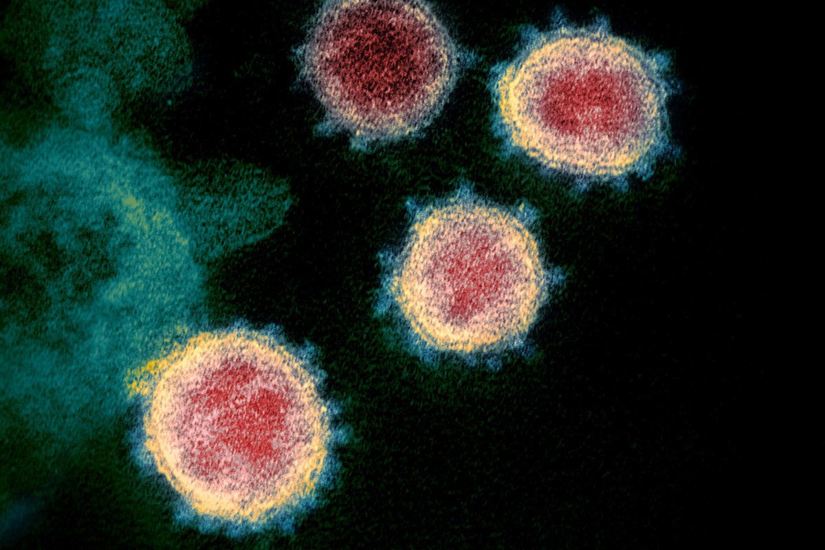 Szczepionka na koronawirusa. Naukowcy ogłosili sukces
