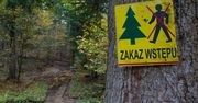 Koronawirus w Polsce. Nadleśnictwa wprowadzają zakazy wstępu do lasów