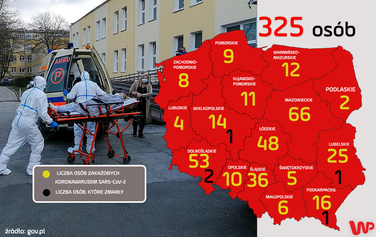 Koronawirus w Polsce. Kolejne przypadki