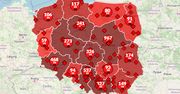 Koronawirus w Polsce. Mapa zarażeń. Przybywa chorych na COVID-19. Sprawdź aktualne dane