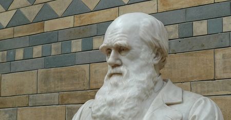 Karol Darwin mógł się mylić. Nowe odkrycie może pomóc znaleźć życie pozaziemskie
