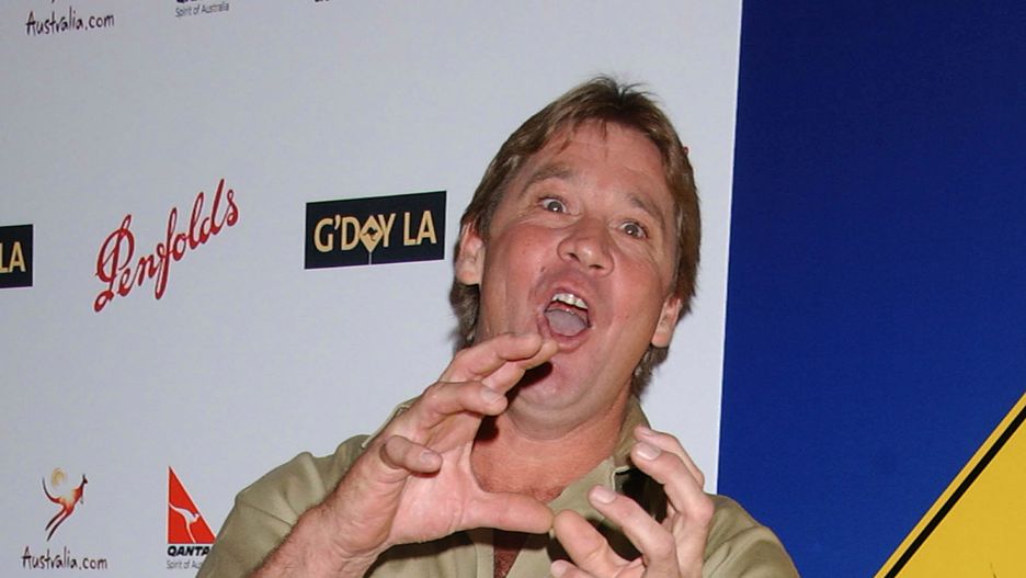 Steve Irwin