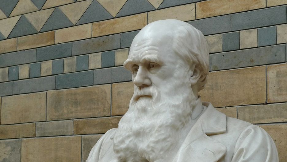 Karol Darwin - twórca teorii ewolucji, zgodnie z którą wszystkie gatunki pochodzą od wcześniejszych form.