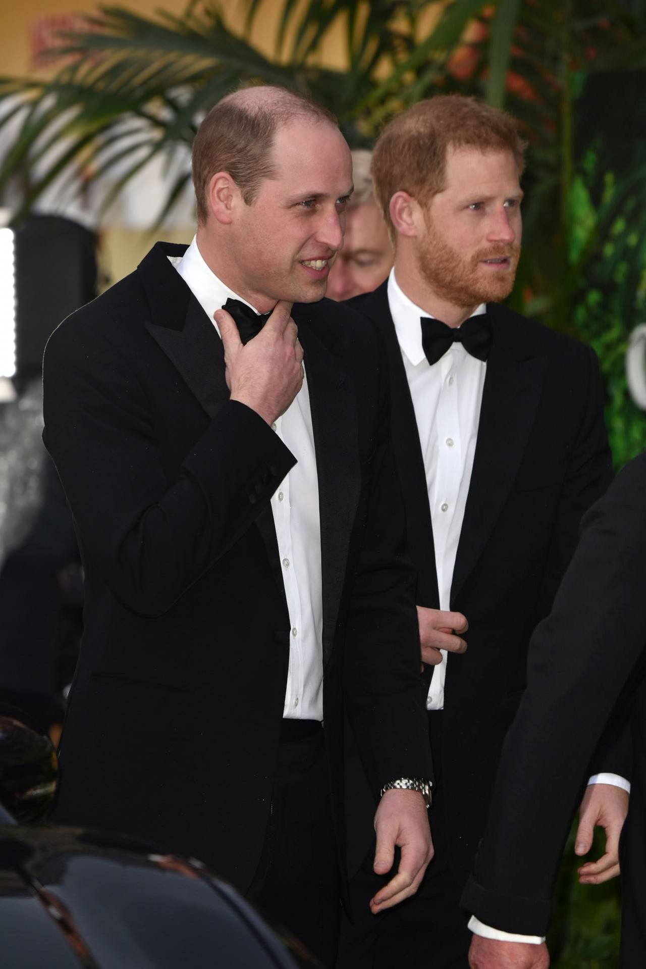 Harry i William na premierze filmu "Nasza planeta"