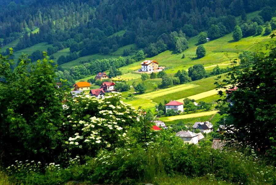 Obraz