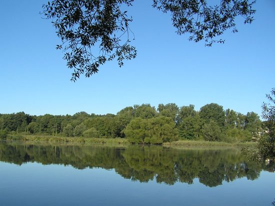 Obraz