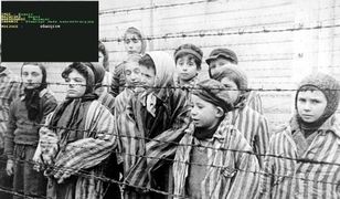 Jak opowiadać, a jak nie opowiadać w grach o historii Polski. Oto symulator obozu w Oświęcimiu