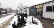 Kaczory mają szansę stać się miastem