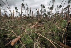 Czersk. To była katastrofa stulecia. Minęły 2 lata. "Za kilkanaście lat przyjdę tutaj na kurki"