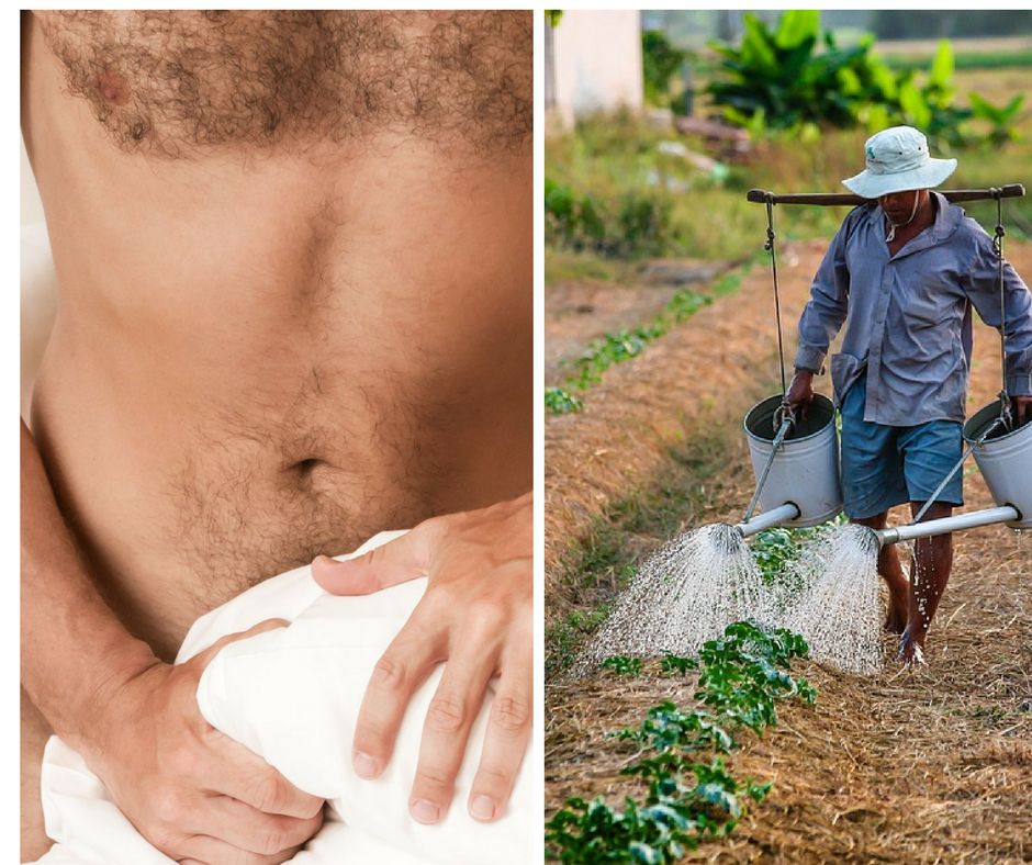 10 najdziwniejszych usług oferowanych na świecie