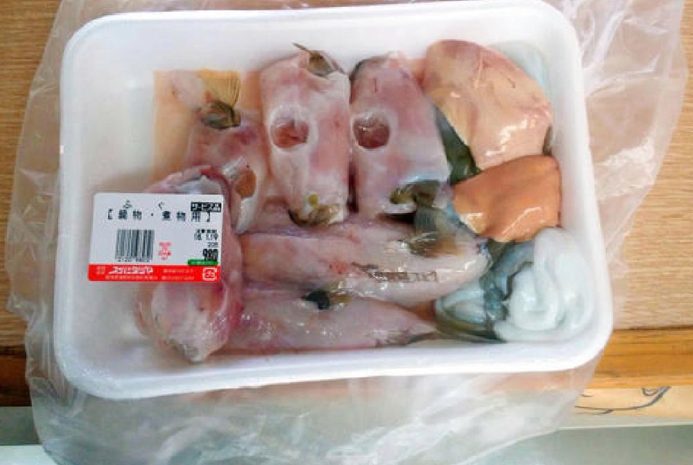 Alarm w japońskim mieście. Zabójcza ryba trafiła między ludzi
