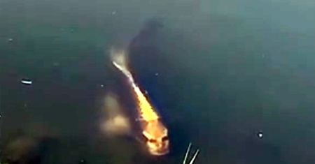 Ryba z ludzką twarzą? W Chinach nagrano wideo