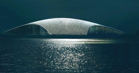 7 imponujących zdjęć obserwatorium wielorybów. Tajemniczy projekt jest zachwycający!