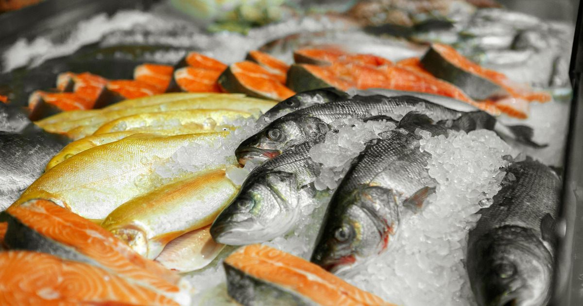 Te ryby omijaj szerokim łukiem. Chłoną toksyny jak gąbka