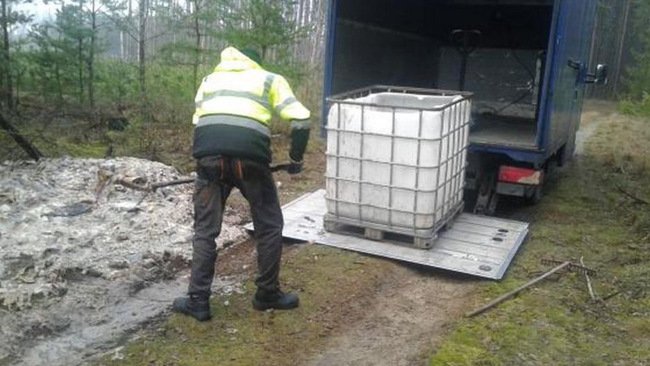 Koszt utylizacji hałdy gnijących ryb sięgnął 1000 zł.