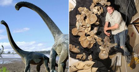 Odkryli nowy gatunek dinozaura