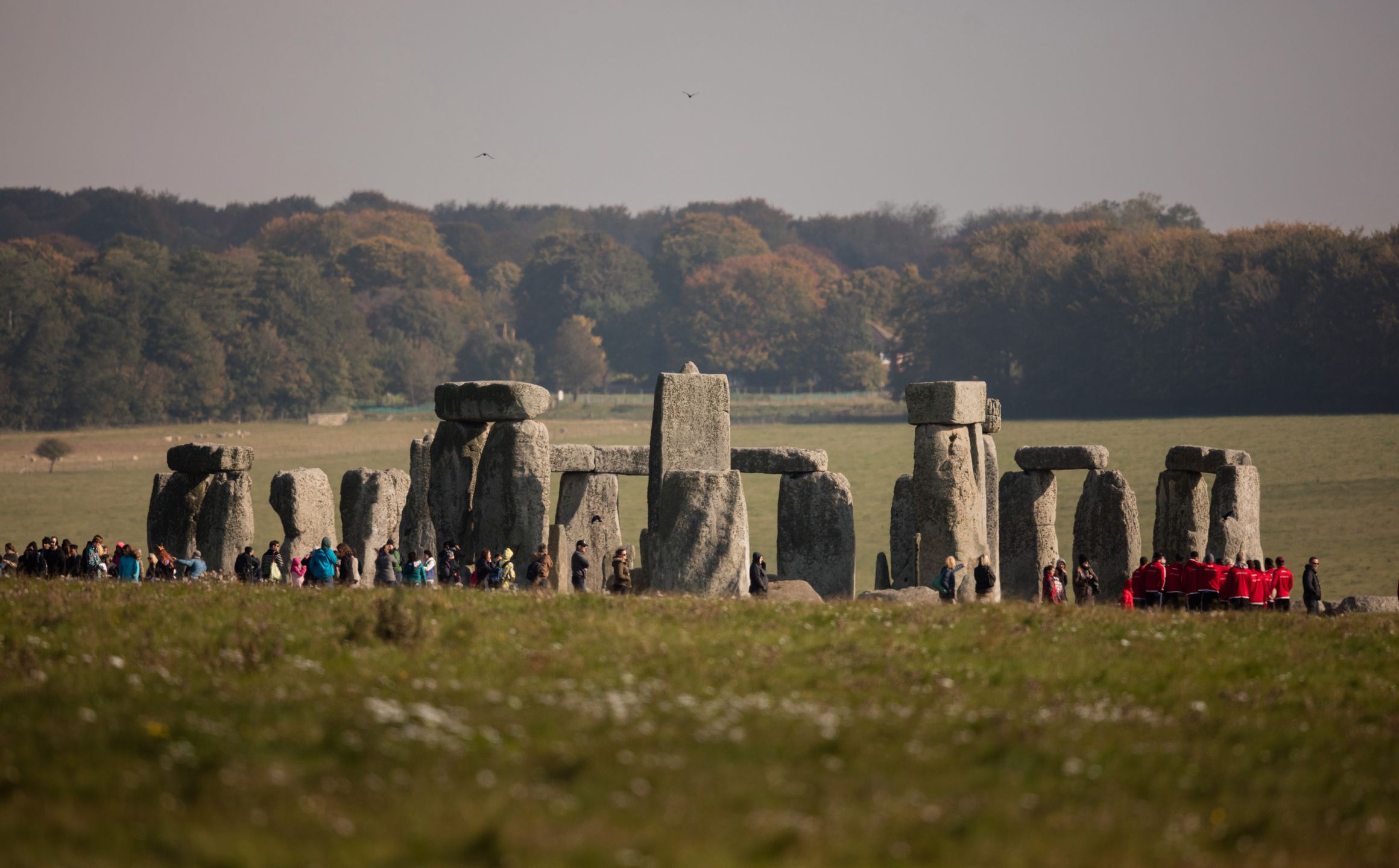 Niesamowite odkrycie niedaleko Stonehenge