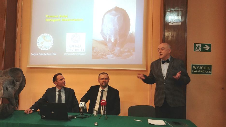 Zrekonstruowaną czaszkę Lisiowicy Bojani pokazują (od lewej) prof. Tomasz Sulej, dr Grzegorz Niedźwiecki i Jarosław Stolarski, dyrektor Instytutu Paleobiologii PAN
