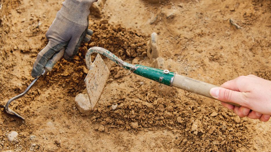 W 2016 roku trwały prace archeologiczne w poszukiwaniu wcześniejszej lokalizacji Chełmna.